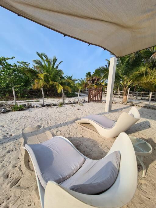 Casa Perla Marina, Pequena Casa Frente A La Playa. Lejlighed El Cuyo Eksteriør billede