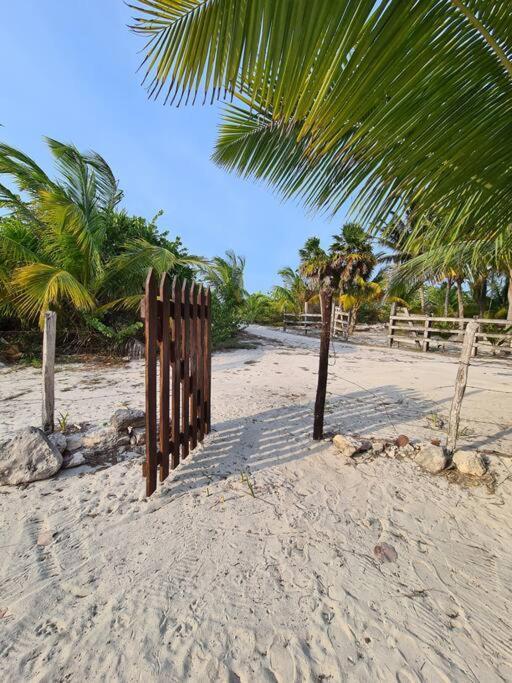 Casa Perla Marina, Pequena Casa Frente A La Playa. Lejlighed El Cuyo Eksteriør billede